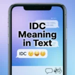 IDC Meaning in Text