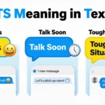 TS Meaning in Text