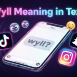 Wyll Meaning in Text