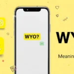 WYO Meaning in Text