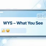WYS Meaning