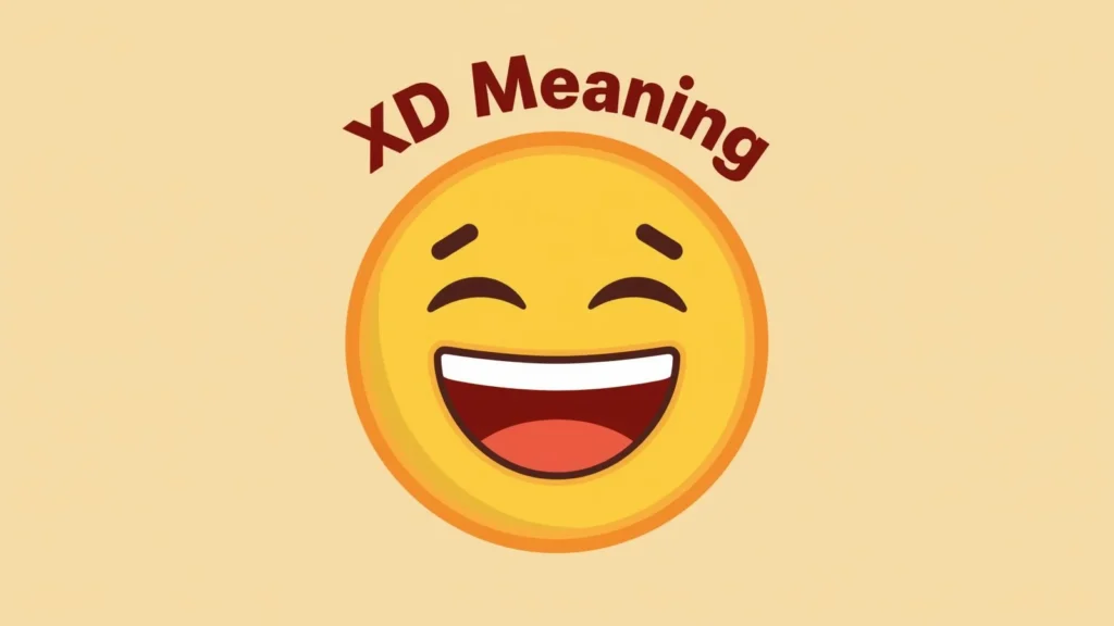xd meaning
