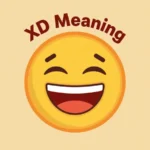 xd meaning